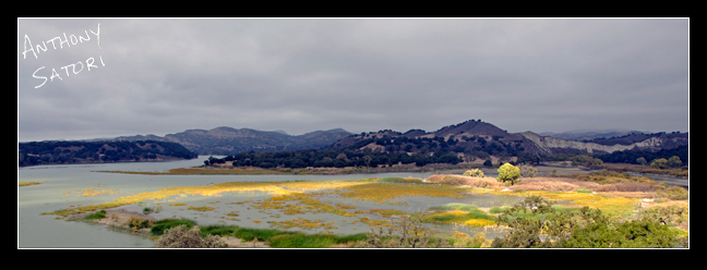 "The Glittering Plains of Odainsaker" | Anthony Satori