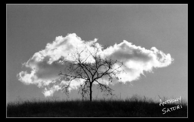 "Tree and Cloud" | Anthony Satori