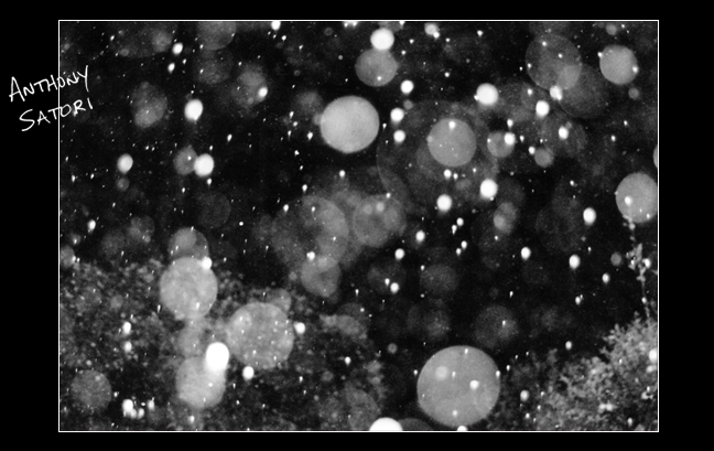 "Evening Snowfall"  |  Anthony Satori