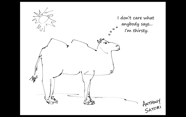 BlogImage - SatoriCircleDotCom - Mar 1 2015d