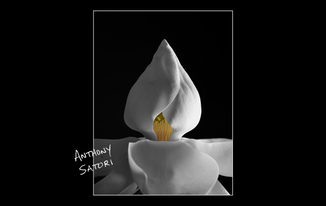 "Prana (Inner Light)"  |  Anthony Satori