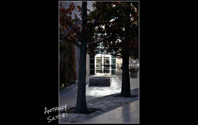 "Waking Dream"  |  Anthony Satori