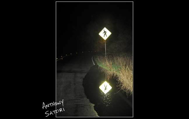 "Shine"  |  Anthony Satori