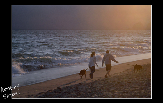 "Stroll on the Shore" | Anthony Satori