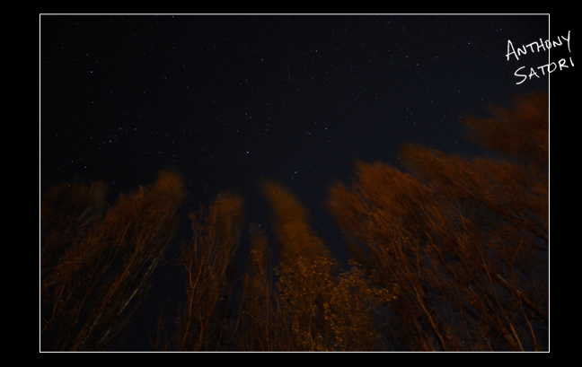 BlogImage - SatoriCircleDotCom - November 25 2015b