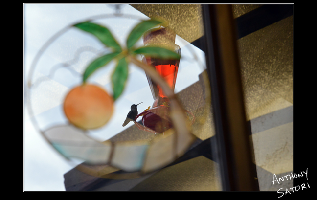 BlogImage - SatoriCircleDotCom - January 16 2016