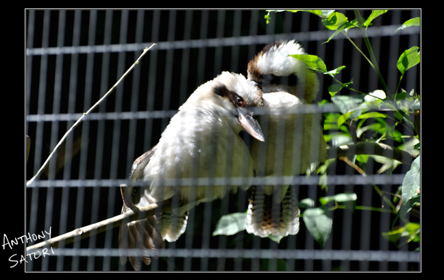 BlogImage - SatoriCircleDotCom - Feb 13 2016