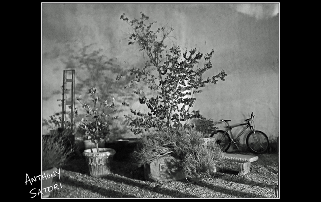 BlogImage - SatoriCircleDotCom - Feb 20 2016