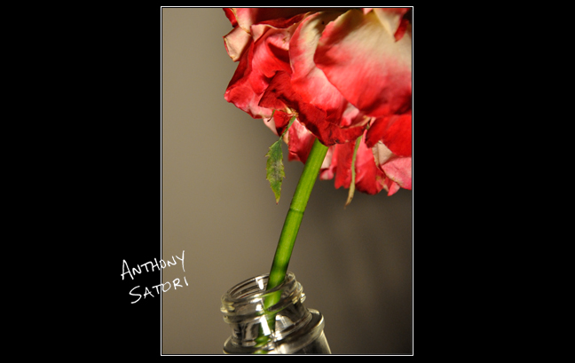 BlogImage - SatoriCircleDotCom - July 23 2016