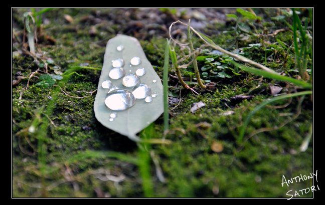 BlogImage - SatoriCircleDotCom - August 20 2016b