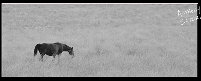 blogimage-satoricircledotcom-sept-10-2016b