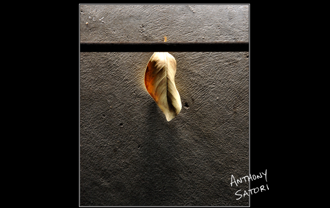 blogimage-satoricircledotcom-september-17-2016