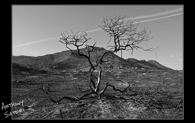 blogimage-satoricircledotcom-october-22-2016