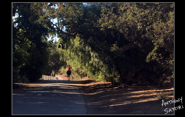 blogimage-satoricircledotcom-november-19-2016