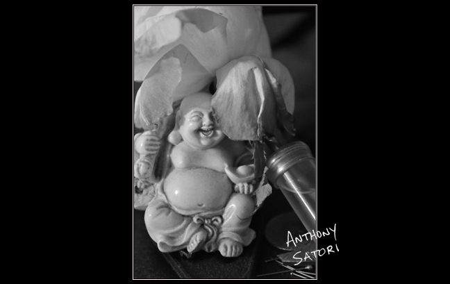 blogimage-satoricircledotcom-dec-31-2016