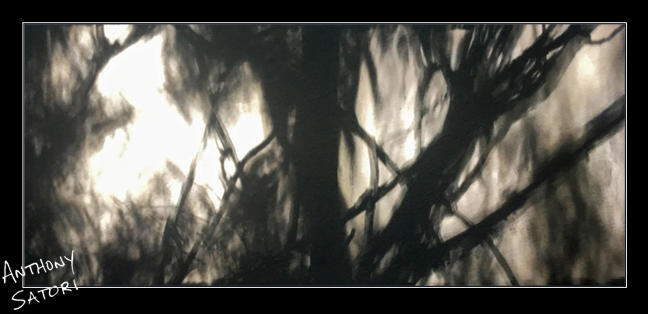 blogimage-satoricircledotcom-december-10-2016b