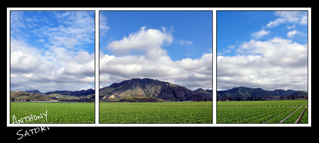 blogimage-satoricircledotcom-december-3-2016b