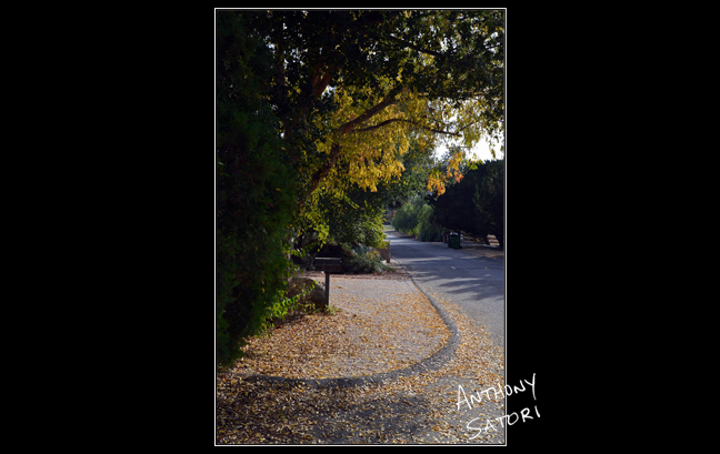 blogimage-satoricircledotcom-january-21-2017