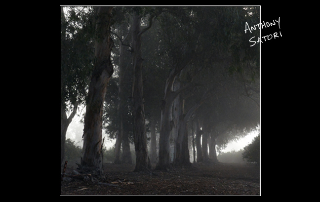 blogimage-satoricircledotcom-january-6-2017d