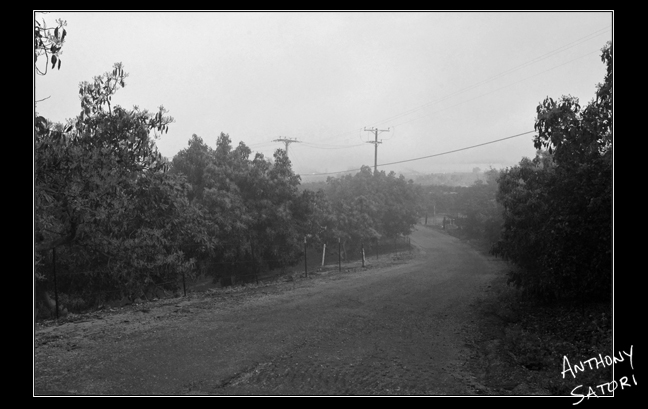 blogimage-satoricircledotcom-feb-11-2017