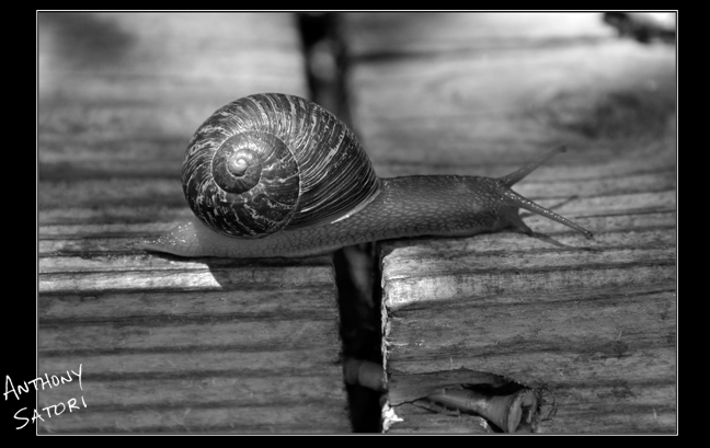 blogimage-satoricircledotcom-january-4-2017