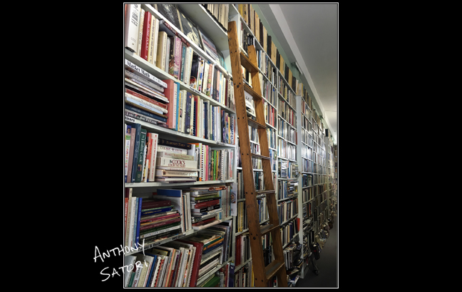 blogimage-satoricircledotcom-march-11-2017