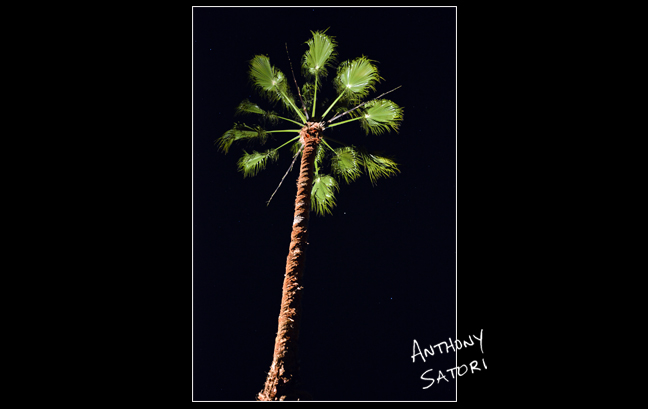 blogimage-satoricircledotcom-march-4-2017