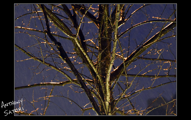 BlogImage - SatoriCircleDotCom - April 8 2017