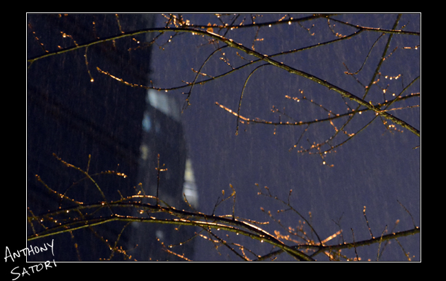 BlogImage - SatoriCircleDotCom - May 20 2017