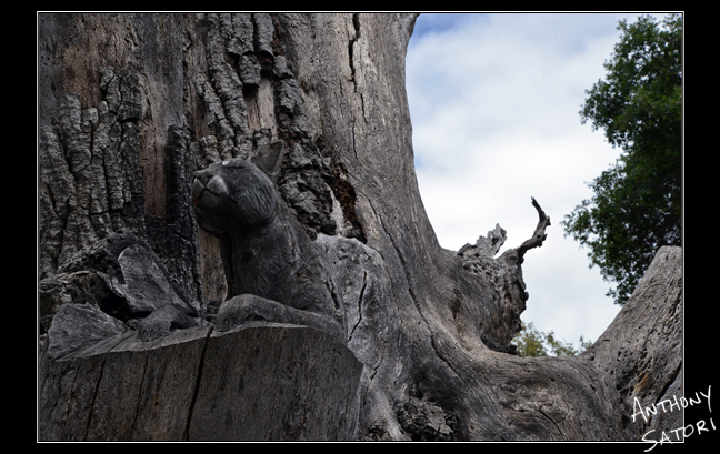 BlogImage - SatoriCircleDotCom - May 27 2017