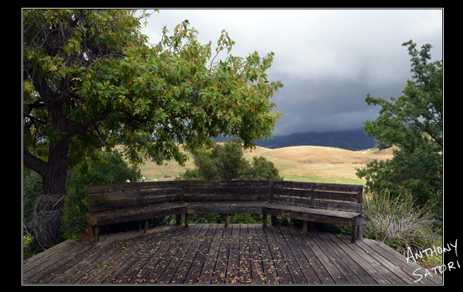 BlogImage - SatoriCircleDotCom - June 11 2017