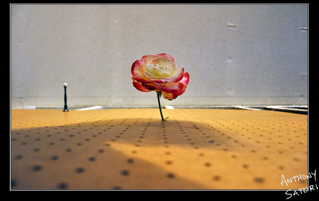 BlogImage - SatoriCircleDotCom - July 15 2017