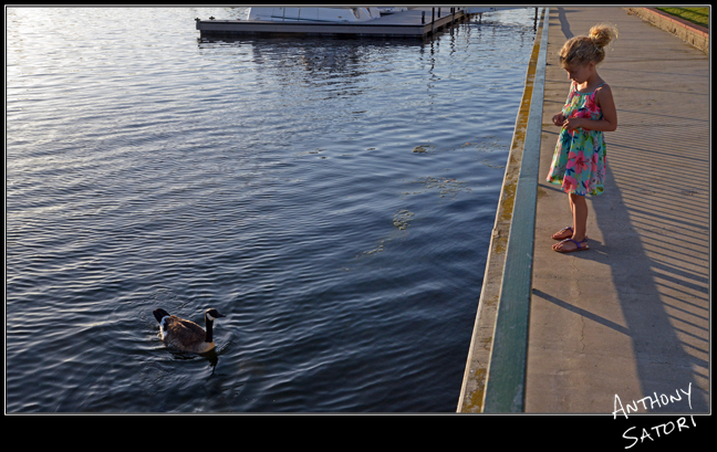 BlogImage - SatoriCircleDotCom - July 22 2017