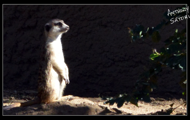 BlogImage - SatoriCircleDotCom - August 19 2017