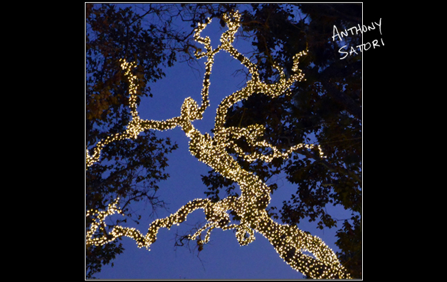 BlogImage - SatoriCircleDotCom - Sept 30 2017