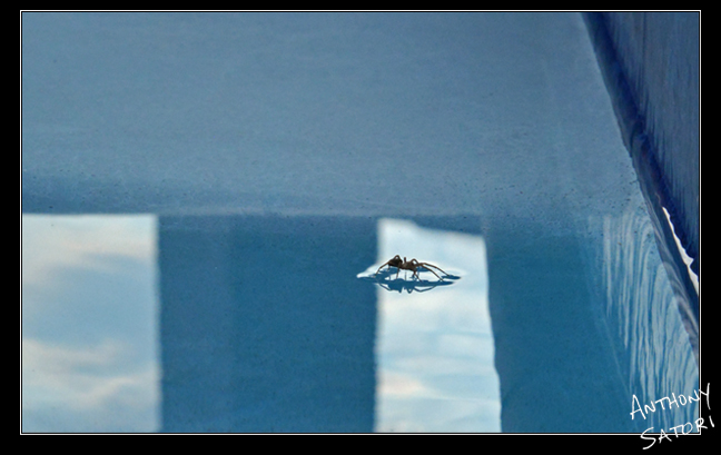 BlogImage - SatoriCircleDotCom - Oct 28 2017