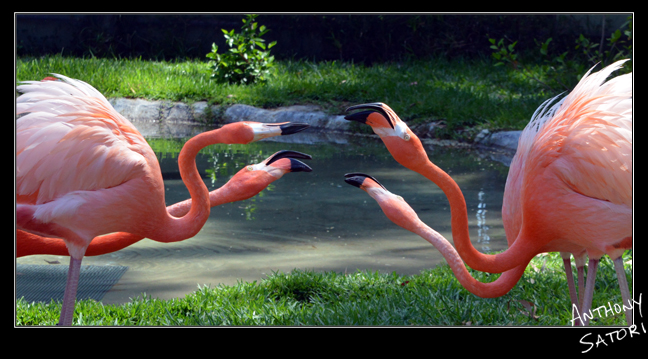 BlogImage - SatoriCircleDotCom - Oct 7 2017b