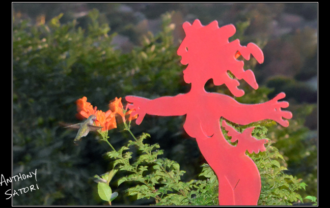 BlogImage - SatoriCircleDotCom - Nov 11 2017b