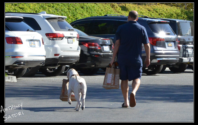 BlogImage - SatoriCircleDotCom - Dec 2 2017a