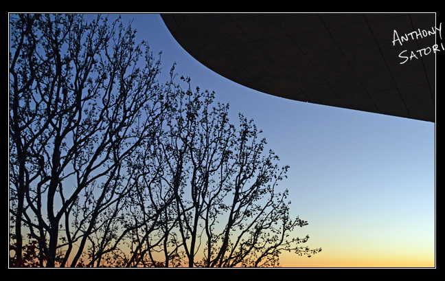 BlogImage - SatoriCircleDotCom - Jan 27 2018