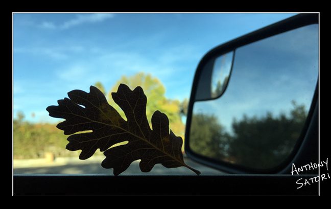 BlogImage - SatoriCircleDotCom - Jan 6 2018