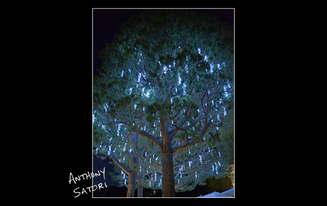 BlogImage - SatoriCircleDotCom - Feb 17 2018