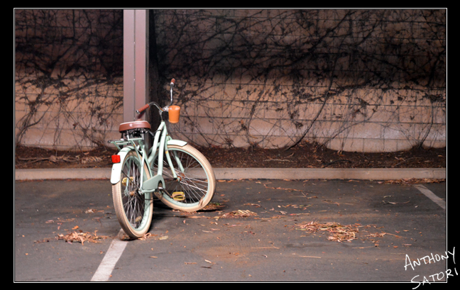 BlogImage - SatoriCircleDotCom - Feb10 2018