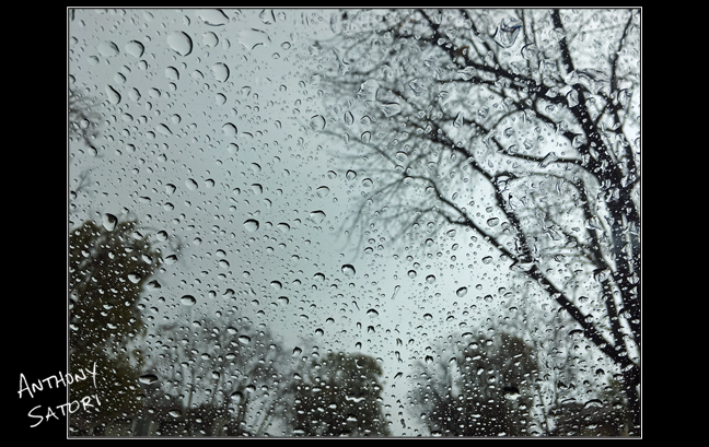 BlogImage - SatoriCircleDotCom - March 10 2018c