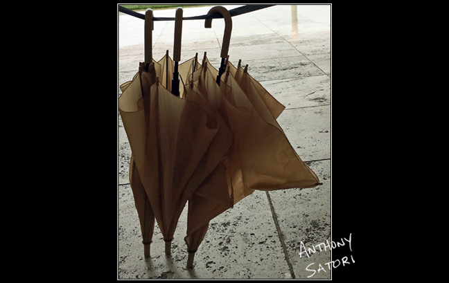 BlogImage - SatoriCircleDotCom - March 24 2018