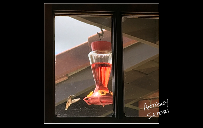 BlogImage - SatoriCircleDotCom - April 21 2018