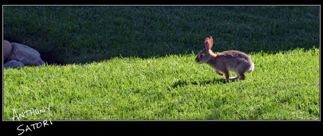 BlogImage - SatoriCircleDotCom - April 28 2018