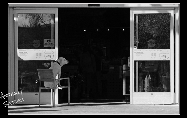 BlogImage - SatoriCircleDotCom - May 12 2018