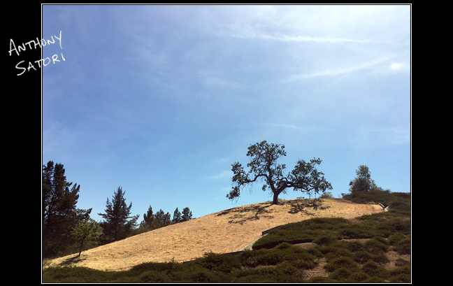 BlogImage - SatoriCircleDotCom - May 5 2018