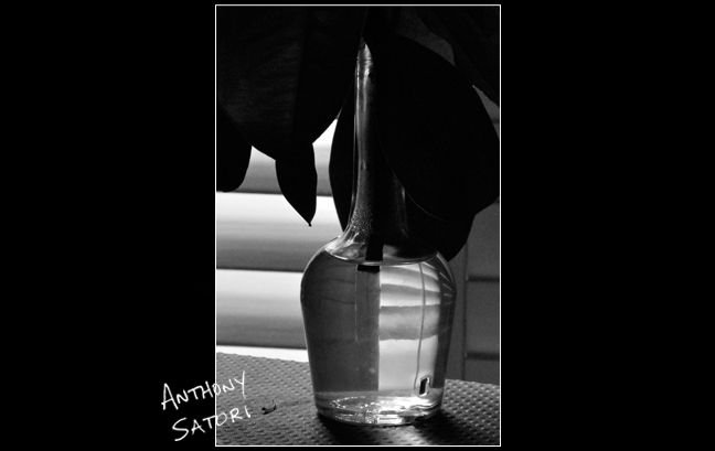 BlogImage - SatoriCircleDotCom - July 21 2018b